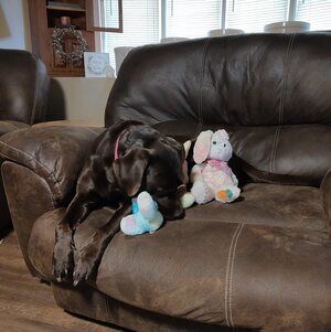 Meet your Posher, Valerie